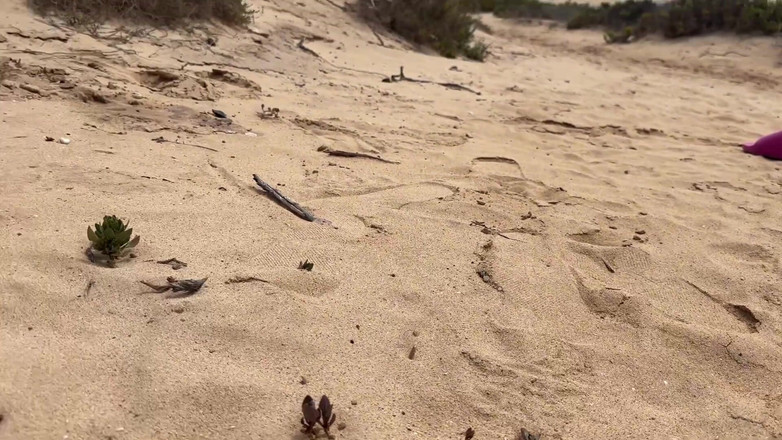 Emma Voyeur: Chica meando en las bragas en la playa