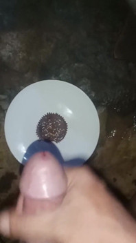 Cum on Food