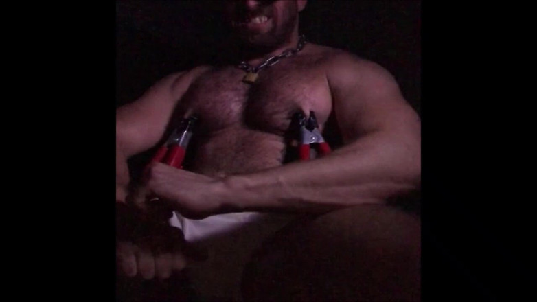 HairyHunkPig: 털이 무성한 덩어리 돼지 - 젖꼭지 훈련과 핸잡