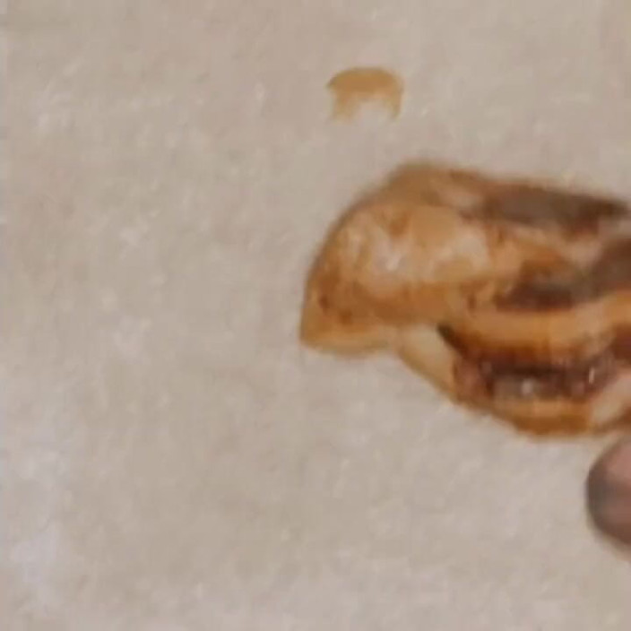 Food Fetish: Головний пончик сперми