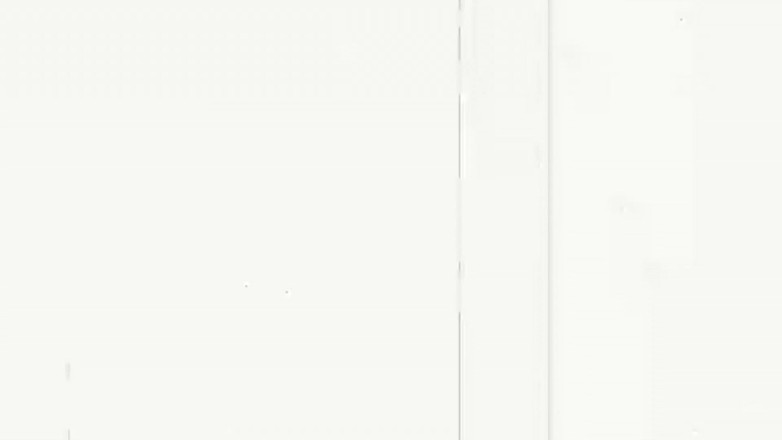 The Dick Suckers: 브루클린 체이스 에 976-사기꾼