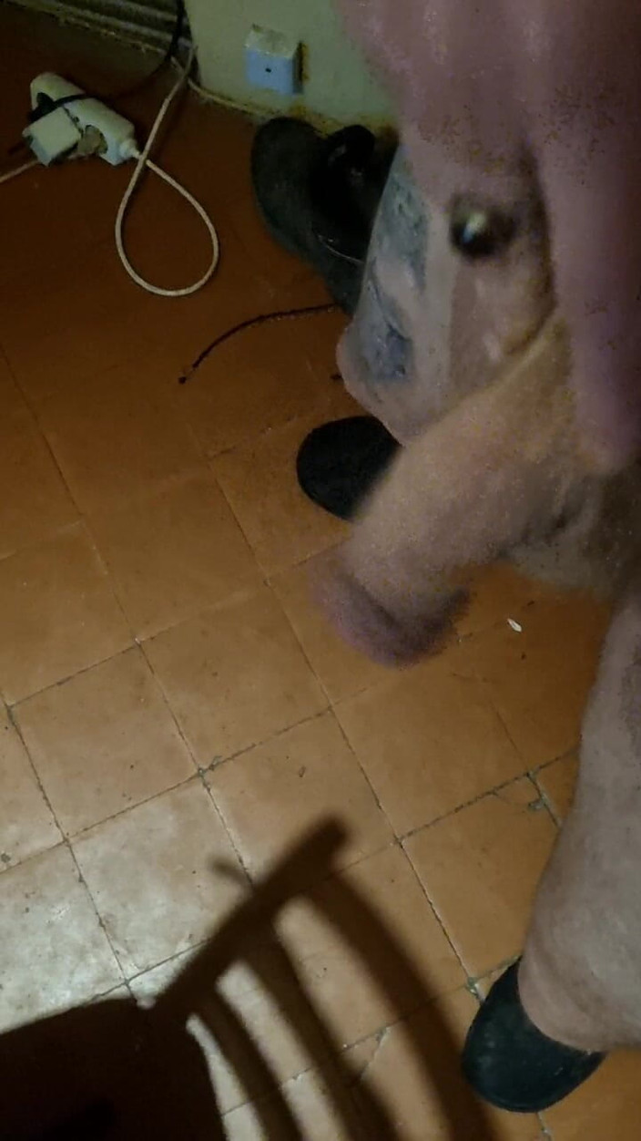 Mr sexhungry dick: Mi polla y mis bolas de baile