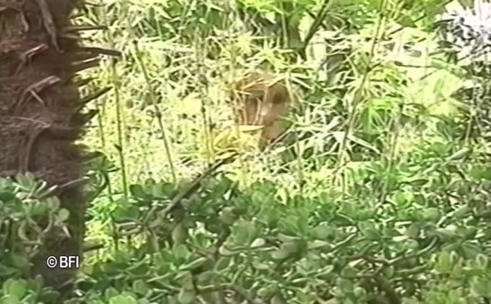 Bad Boys bedroom stories: sex in outdoor places 2 dvd 1 of 2.