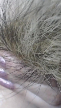 Big Compilation of Squirting and Anal, Hairy and Shaved My Pussy and Asshole