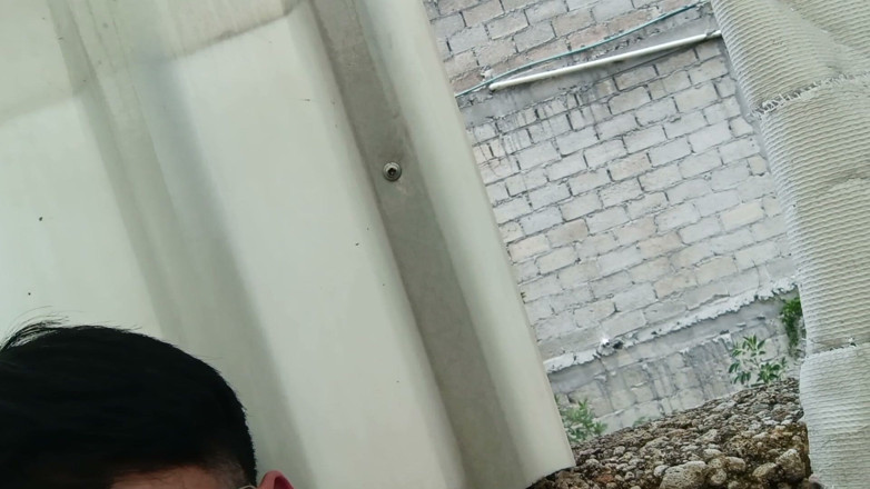 Alexxftm: Islak Vadi