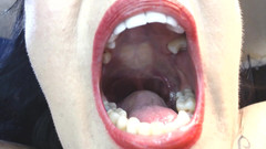 Abby Anna: Inside My Big Mouth Tongue Teeth Uvula