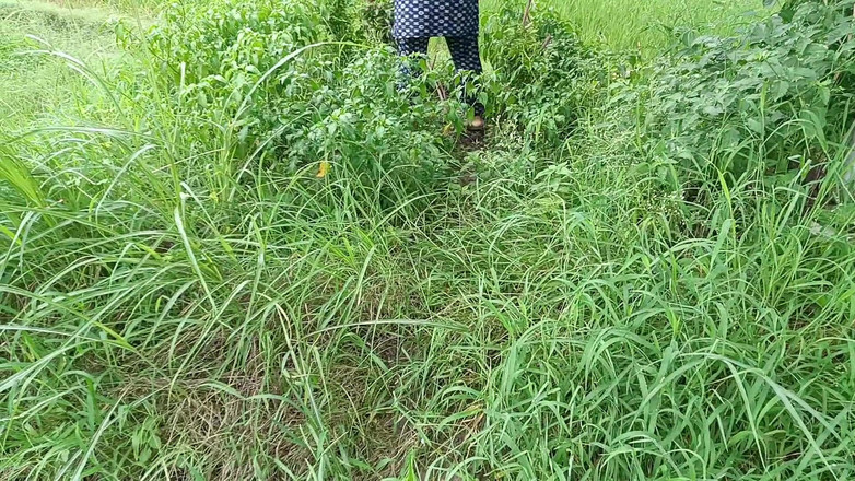 MHM: Outdoor Sex Videos Best Seen