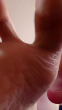 Paws Took Over Your Screen