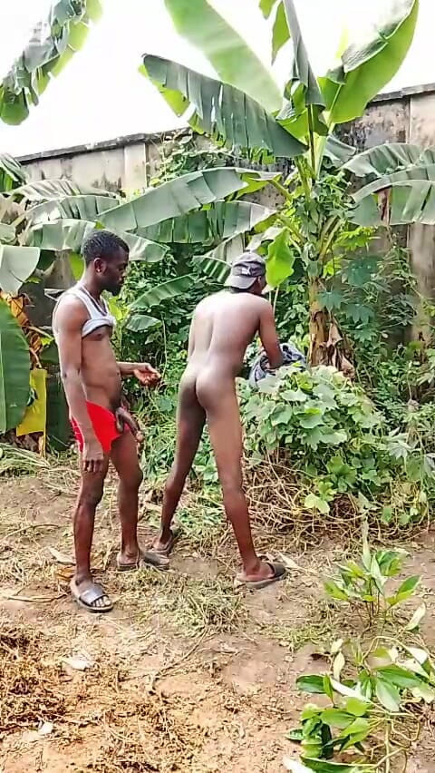 Porchey: Perfurar a bunda da puta com pau de 12 polegadas