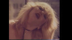 The Unforgettable: 手淫猪