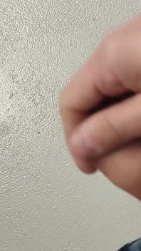 Fast masturbation before shift