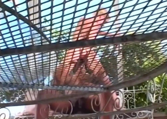 Monster Cocks: Louco pau grande para uma buceta molhada e safada!