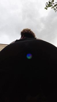 Bee's Anal Illumination