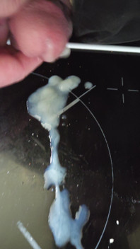 Wanking and Cumming