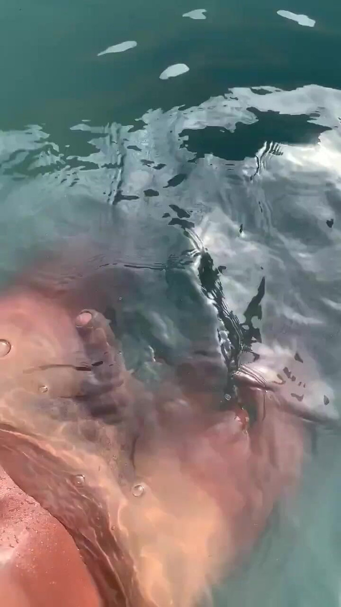 Vida Noite: Ascoltando Gooning audio in piscina e masturbazione