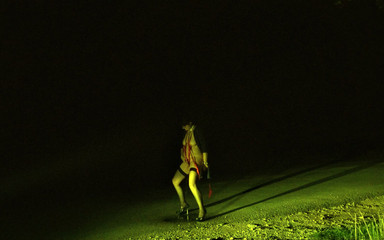 Thumbnail of Pissing Outdoor Whore