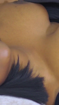 Bílý paroháč v kleci