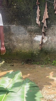 Ero così eccitato che ho organizzato un appuntamento in cortile con la figliastra del mio padrone di casa nel nostro cortile. Si rivela così tranquillamente.