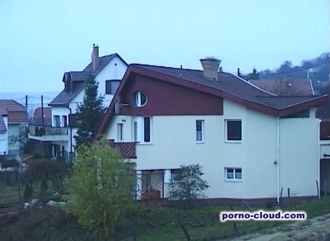 Porno Cloud: Mature housewife games