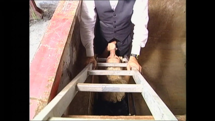 MMV TV - our best full movie: Pemujaan memek dan kontol mentah dan tanpa filter 