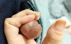 Wife's and Semen Ejaculation Compilation