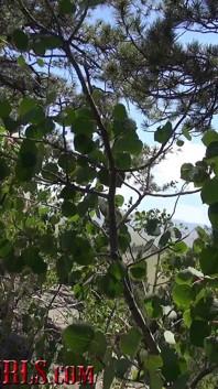 Masturbating teen enjoys wide open colorado