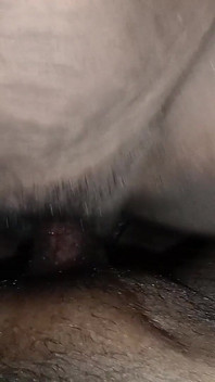 Min känsla skatt över hela staten video rolig sexuell