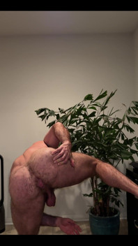 Look at My Ass