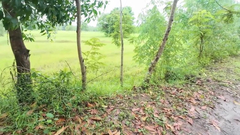 RealThaiSolo: Ragazza tailandese che cammina lungo il lato della field road...