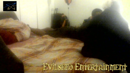 Evilseed Entertainment: Dopo il bowling di mezzanotte e altro ancora