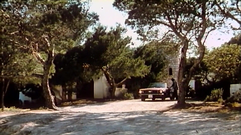 Euro Blue Movies: Sexo Quente em Ibiza (1982)