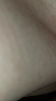 Close-up op zijn hondjes