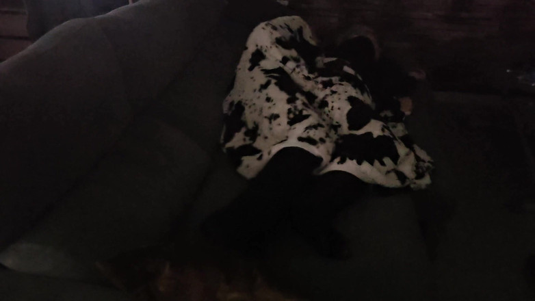 Sofy13: Eu Queria Tirar Uma Soneca, Ele Queria Foder Minha Buceta...