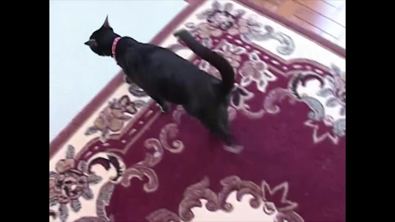 Point X movie and clips horny girls want to fuck: Amateur Teen Pussy Squirts My Creampie