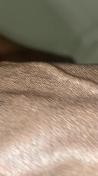 Chocolatemeatstick Close up on BBC