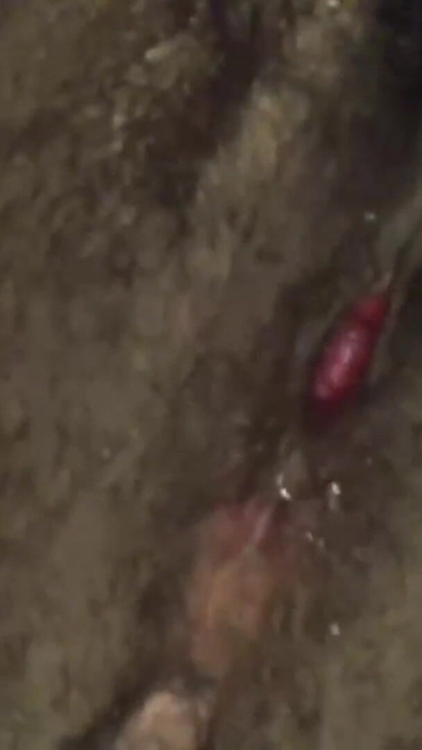 Pussy Hole (Ebony Amputee)