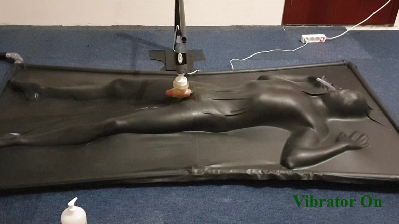 NL Milking: Ordenhada por vibrador controlado em vacbed