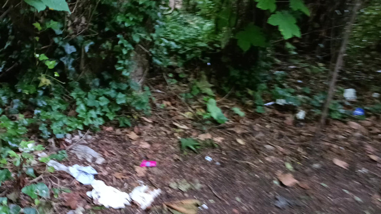 Rockardglans: 未割包皮的大鸡巴出去散步，撒尿，穿着绳子在树林里手淫 - Rockard Daddy