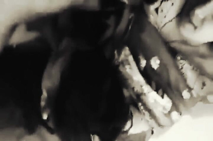 Sanayababhi: Il sesso di marito e moglie sul divano