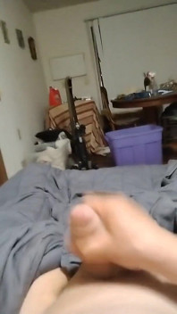 5-14-2025 Nut in Bed