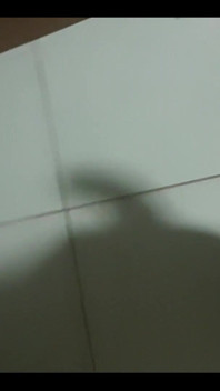 เงาของควย