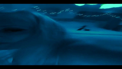 PaintedRose: 743203544831635456.mp4