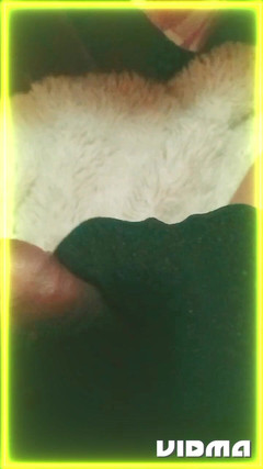 Laratransexualbarcel: Velký bazén