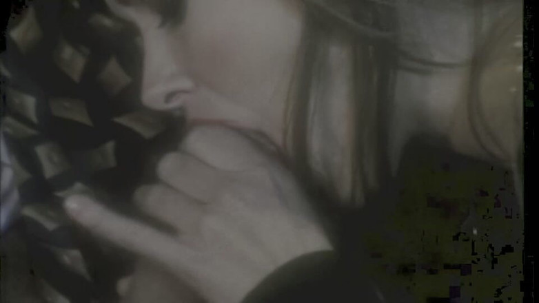 Inhonorof porn: Cicciolina Und Andere Schlampen Vögeln Mit Rocco Siffredi Und Roberto...