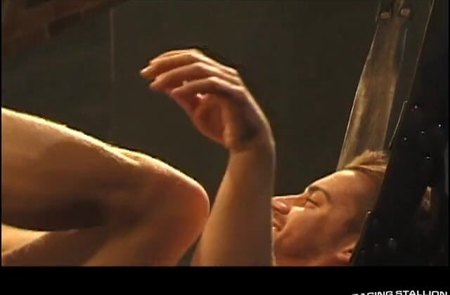 Raging Stallion: ผู้กํากับลามก