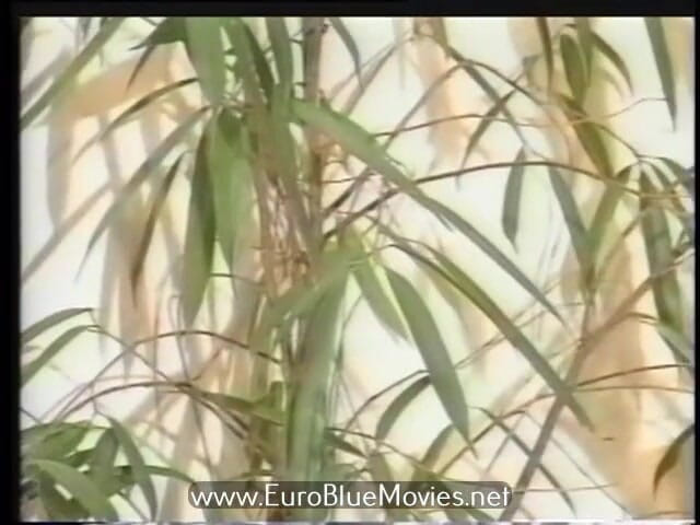 Euro Blue Movies: Jauh ke (1993)