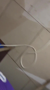 三賢者 1