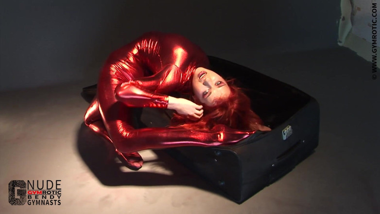 Flexilady: Surprise in the Suitcase