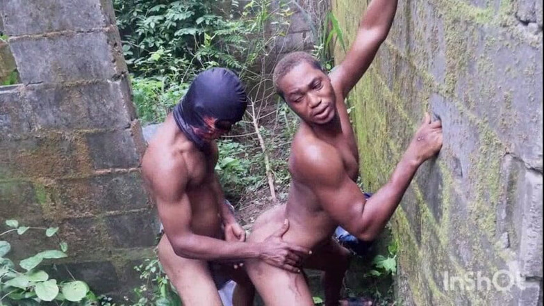Chief_daddyy: 我讲师的儿子。