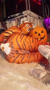 Gadis pantat bahenol ini lagi asik muasin lubang pantatnya pakai dildo ukuran raksasa dan cosplay tigra bagian 1